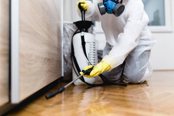 Best Pest Inspection Near Me  in Castle Dale, UT