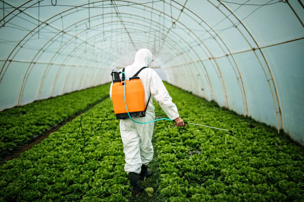 Best Pest Prevention Services  in Castle Dale, UT