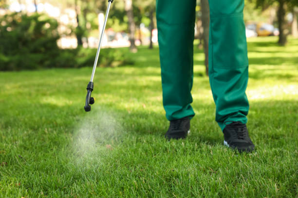 Best Pest Control Near Me in Castle Dale, UT