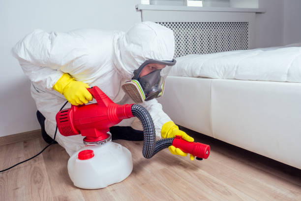 Best Insect Control  in Castle Dale, UT