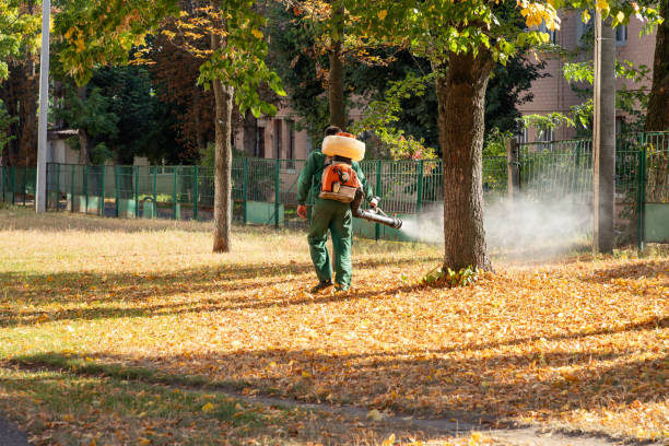 Trusted Castle Dale, UT Pest Control Experts